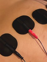 The Electro Lesbian Club