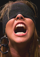 Classic Archive Feature: Wiredpussy LIVE!!!!