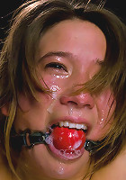 THE NEW COLLECTION: PART 1