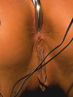 This Body was Made for Electricity