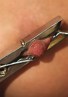 Daytime Fantasy - Electrifying Indulgence