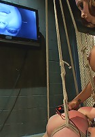 Once a Porn Star Always a Porn Star