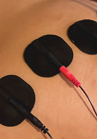 The Electro Lesbian Club