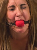 Nobody Likes an Ass Kisser