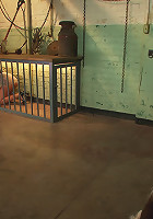 Busty Brunette in for a Sure Shock Fuck