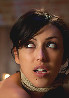 A Night of Distraction