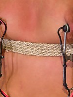 The Electro Lesbian Club