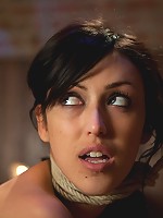 A Night of Distraction