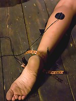 Capri Anderson - The Brand New Girl