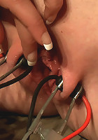 Wayward Slut Treatment