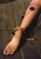 Capri Anderson - The Brand New Girl