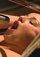 Spunky, Jessie Cox, bites off more that she can chew when hiring unorthodox trainer Lorelei Lee.