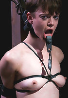 I Choose You, Part Two