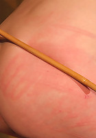 Jenny_Noel-46121temp3