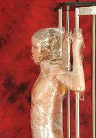 Diana model in plastic sheet bounded