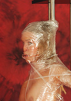Diana model in plastic sheet bounded