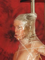 Diana model in plastic sheet bounded