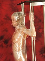 Diana model in plastic sheet bounded