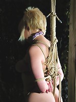 Bondage and suspension