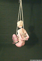 Cherry Torns Suspension