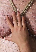 Chicken Wire Bondage