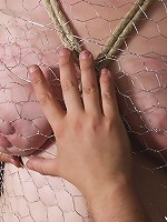 Chicken Wire Bondage