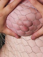 Chicken Wire Bondage