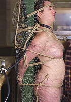 Chicken Wire Bondage