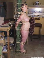 Chicken Wire Bondage