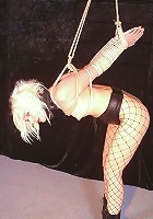 Little Miss Chaos Bound