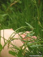 Pretty Nature Bondage