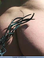 Public bondage and whipping