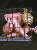 Caged Electro Schocks