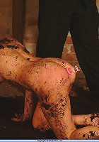 Humiliation of the piggie