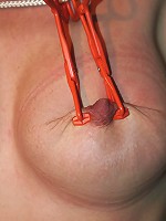 Amateur Tit Torments