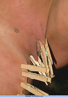 Slavery in the Woods