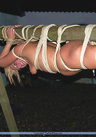 Bizarre Outdoor BDSM