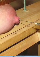 Blowjob and Needles in Tits