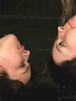 Cum for the orgasms, stay for the zippers.