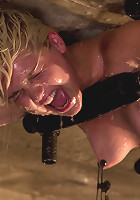 Bolted to the Ceiling, Wide Open for Abuse This is something you don't see everyday