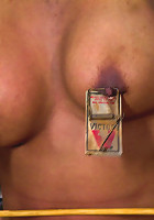 Submission Accomplished