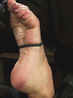 Humility Is a Virtue