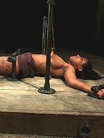 Who Doesn't Love a Challenge?