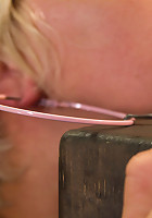 The Stuff Dreams Are Made Of