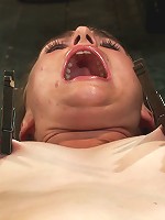 Omega fucks another intoSexual Oblivion