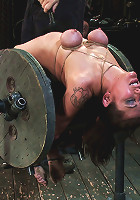 If you thought PRINCESS DONNA got FUCKED last update You ain't seen nothing yet!