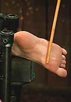 Is this Downward Dog?