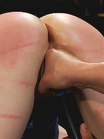 Is this Downward Dog?