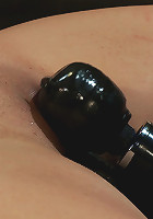 Allie, meet our new friend Jack.