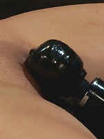 Allie, meet our new friend Jack.